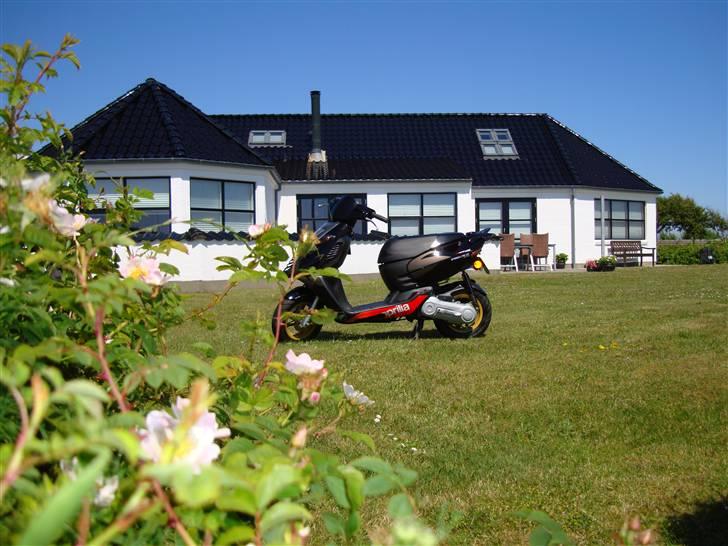 Aprilia Sonic NB GP SOLGT billede 7