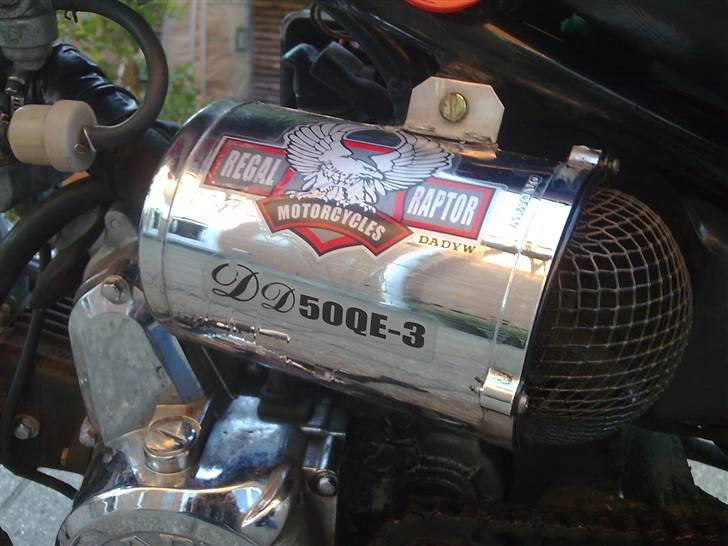 Regal Raptor (Cruiser) // Solgt billede 4