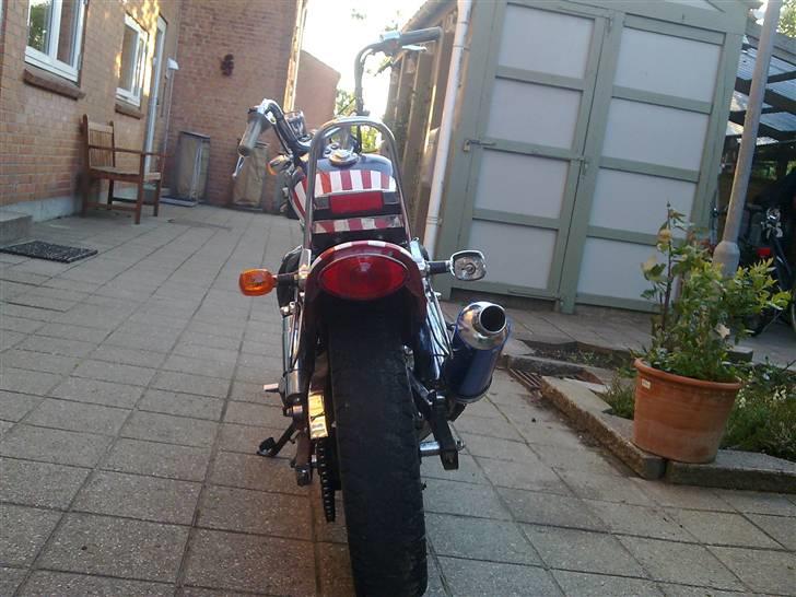 Regal Raptor (Cruiser) // Solgt billede 6