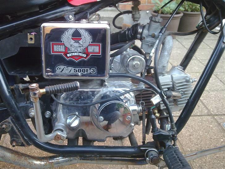 Regal Raptor (Cruiser) // Solgt billede 10