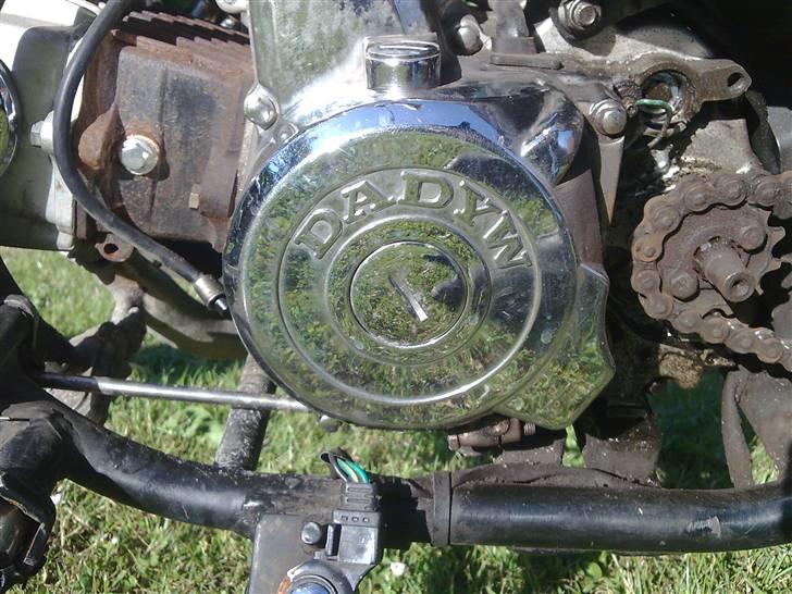 Regal Raptor (Cruiser) // Solgt billede 11