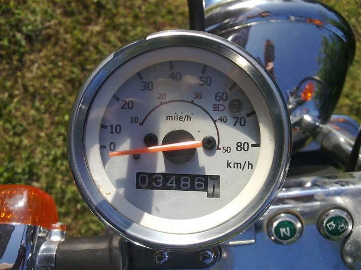 Regal Raptor (Cruiser) // Solgt billede 12