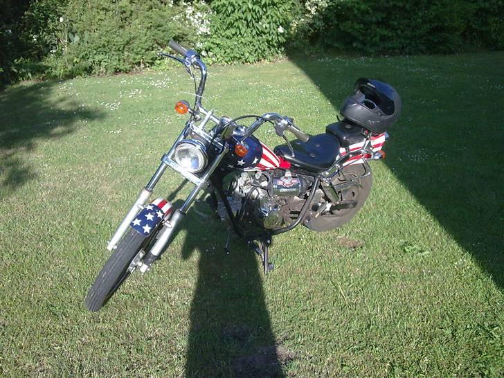 Regal Raptor (Cruiser) // Solgt billede 13