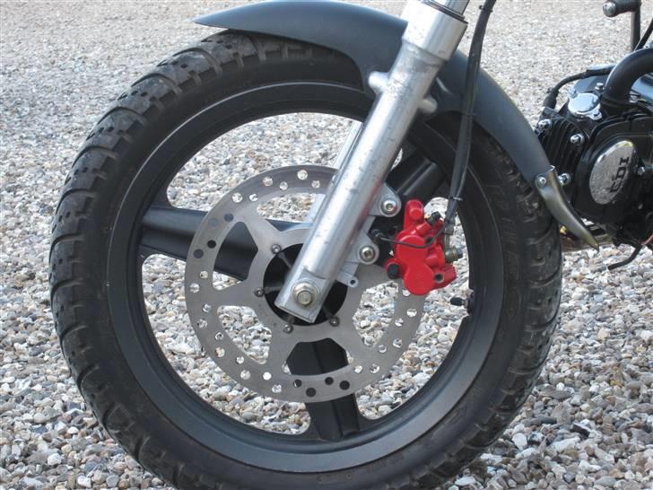 Sachs madass - sommer billede billede 15