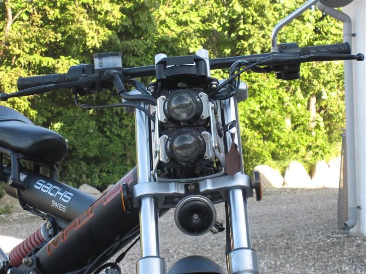 Sachs madass - sommer billede billede 16