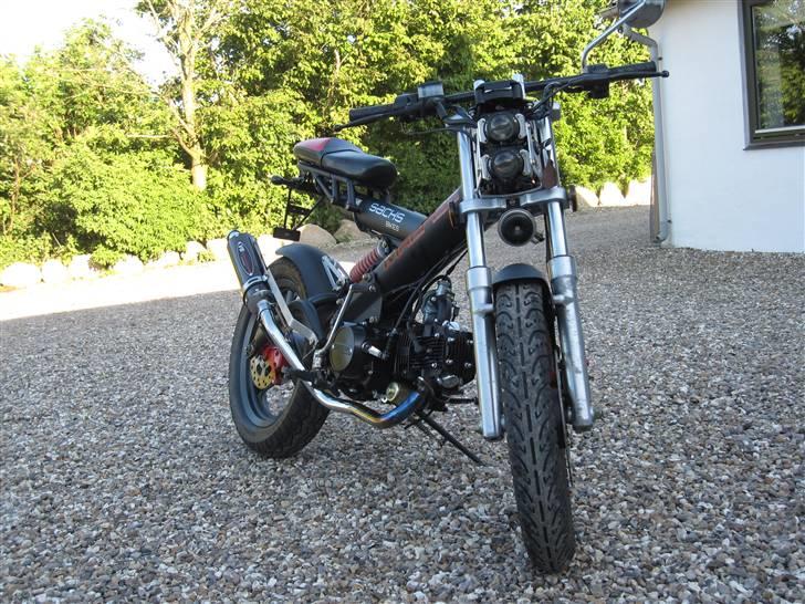 Sachs madass - sommer billede billede 17