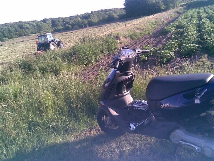 Aprilia Sonic -solgt billede 2