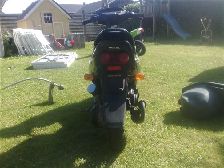 Honda Sfx Solgt . <3 Miss you - Den er lækker ud bagfra med de nye ændringer :) billede 9