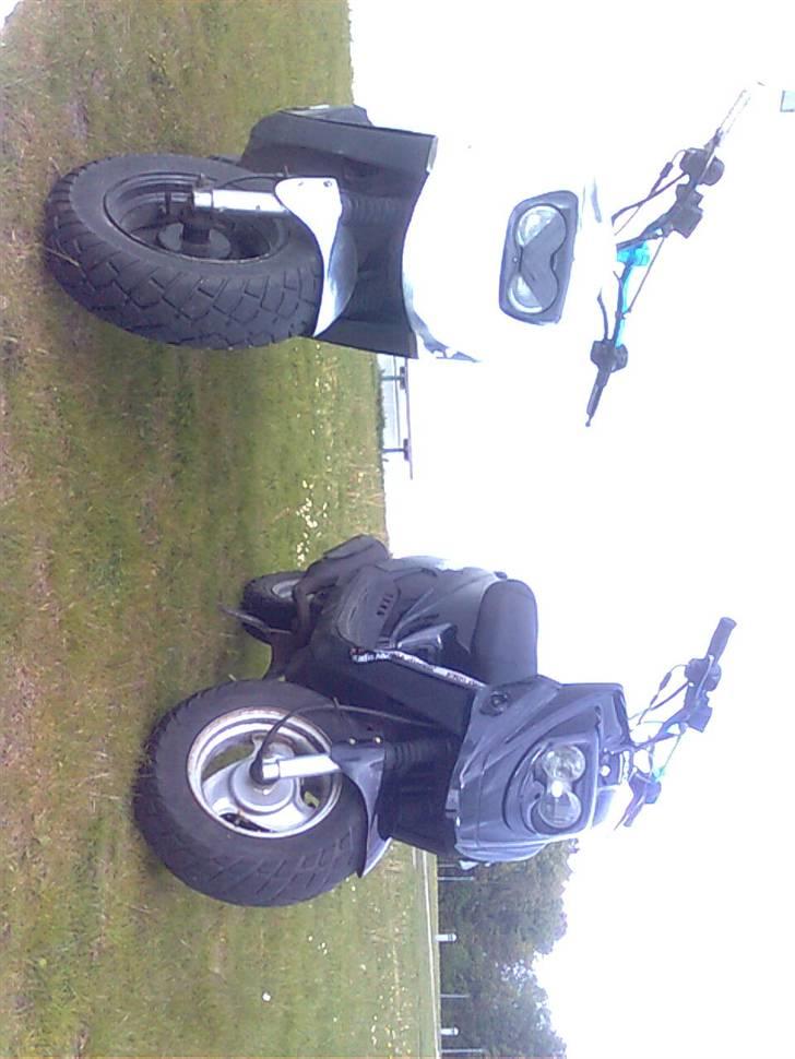 PGO hot 50 billede 9