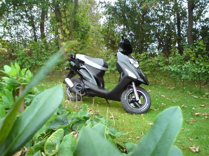 Honda SFX<3 billede 3