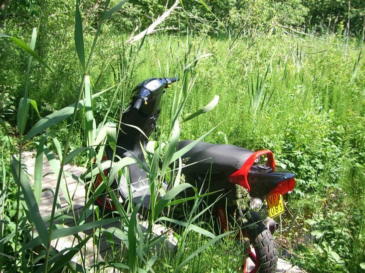 PGO Hot 50 Tilsalg billede 18