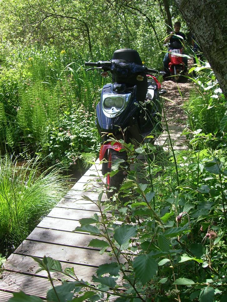 PGO Hot 50 Tilsalg billede 19