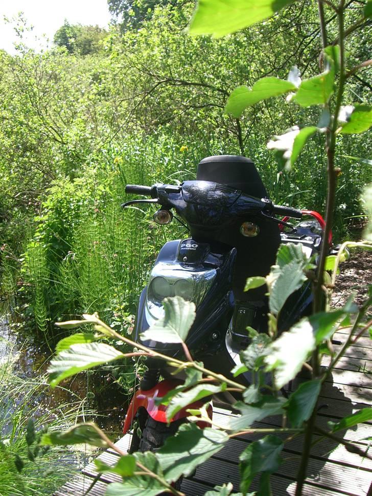 PGO Hot 50 Tilsalg billede 20