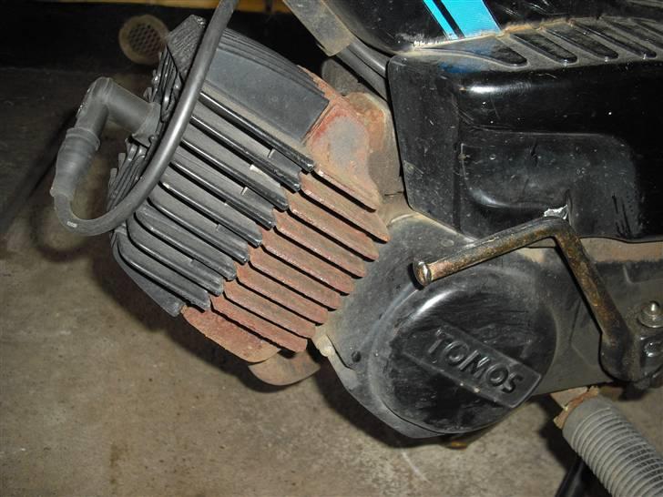 Tomos Quadro billede 7