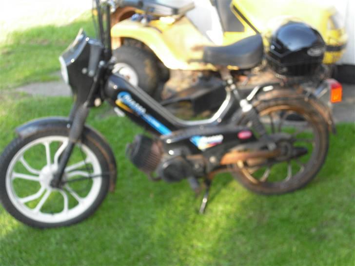 Tomos Quadro billede 13