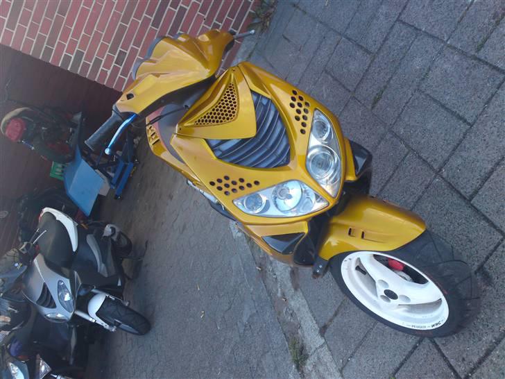 Peugeot Speedfight 2 WRC billede 8