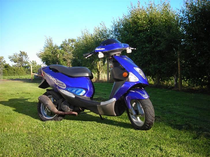 PGO Dr. Big  03' *Solgt* billede 2