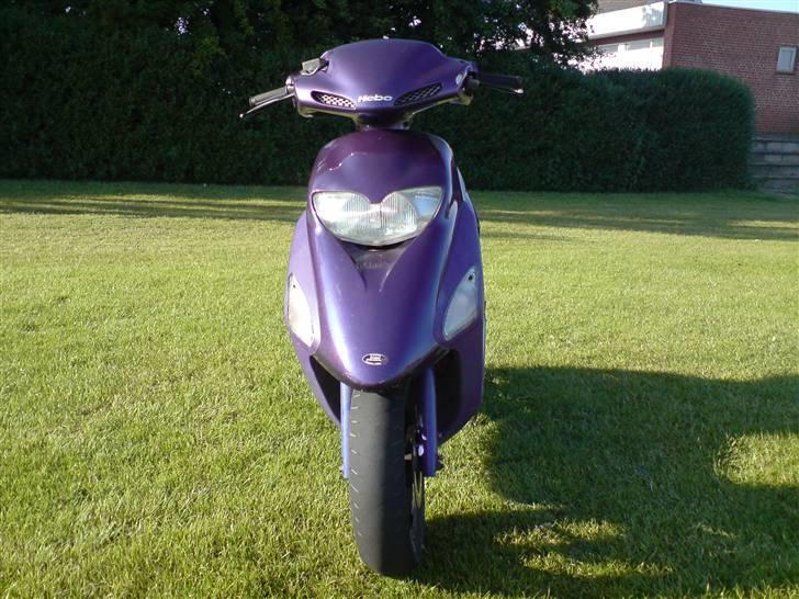 Honda sfx sofie <3 billede 2