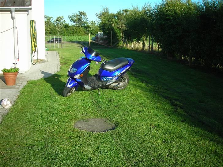 PGO Dr. Big  03' *Solgt* billede 8