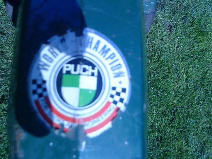 Puch Maxi (p) billede 2