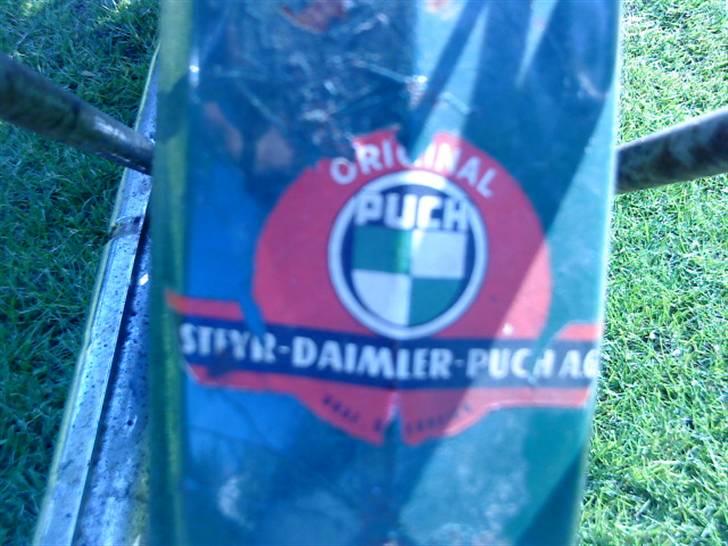 Puch Maxi (p) billede 5