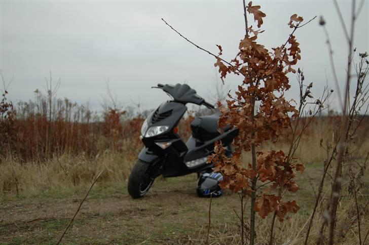 Peugeot Speedfight 2 *SOLGT* - Billede taget d. 14/12-09 billede 8