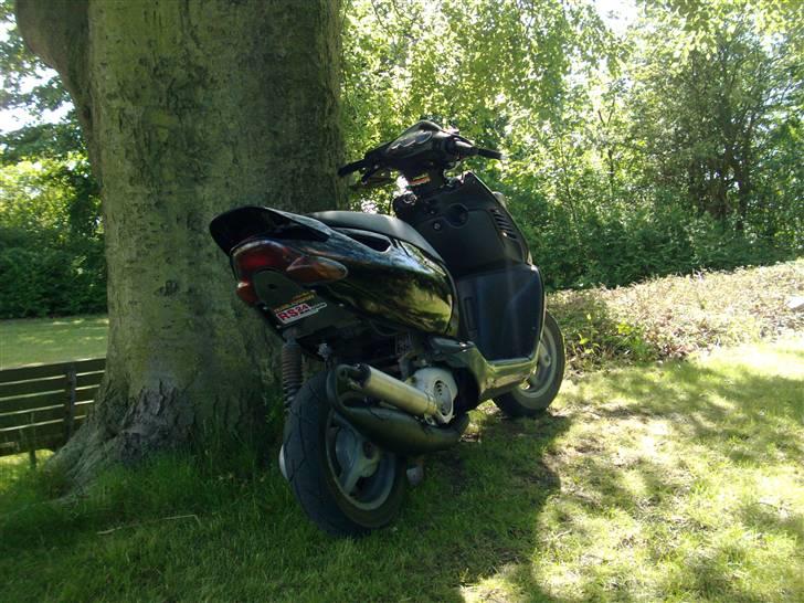 Aprilia Sonic TS LC //SOLGT// billede 6