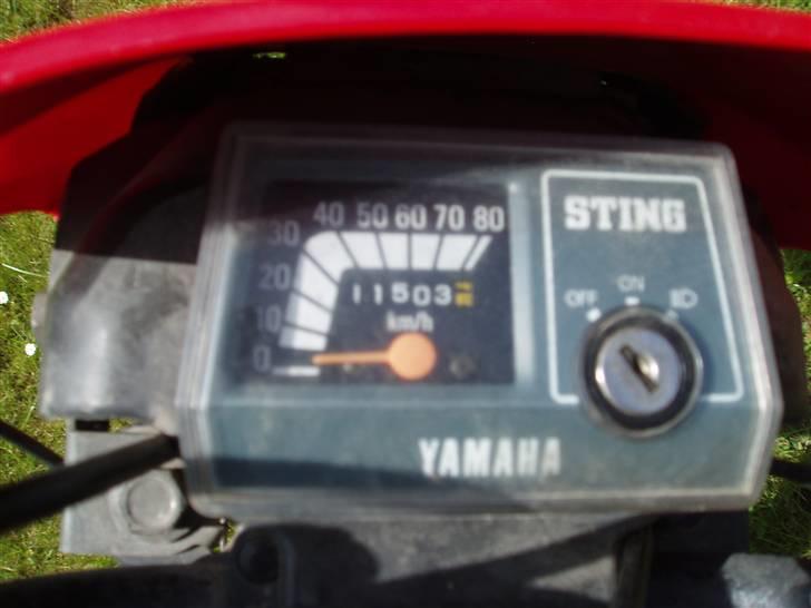 Yamaha Sting [Tidl. Projekt] billede 6