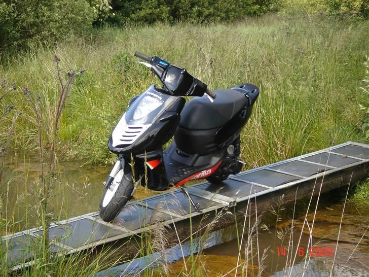 Aprilia Sonic billede 5