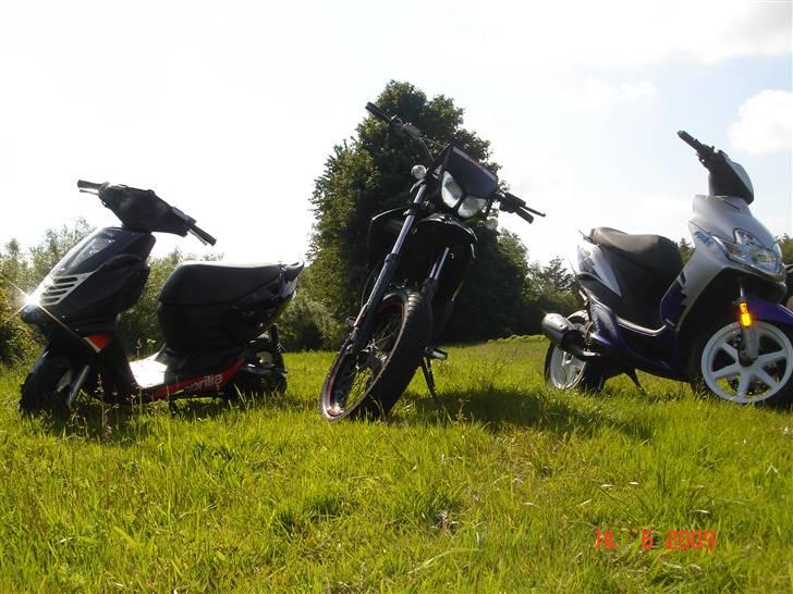 Aprilia Sonic billede 8