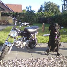 Skyteam SKYTEAM DAX  (SOLGT)