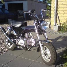 Skyteam SKYTEAM DAX  (SOLGT)