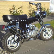 Skyteam SKYTEAM DAX  (SOLGT)