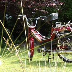 Puch Maxi KL - E50