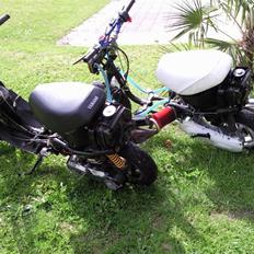 Yamaha "J0G As/R LC S6SR •••