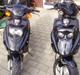 PGO Hot 50(SOLGT)