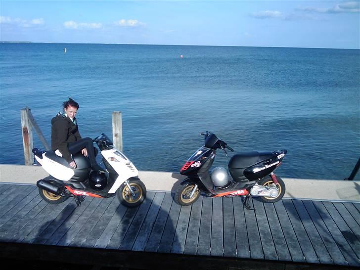 Aprilia sonic gp (SOLGT) billede 12