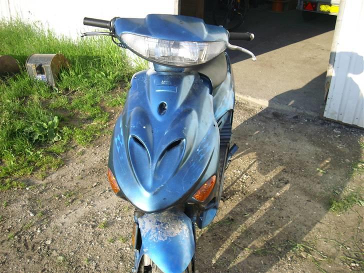 Adly Tmp baboon billede 1