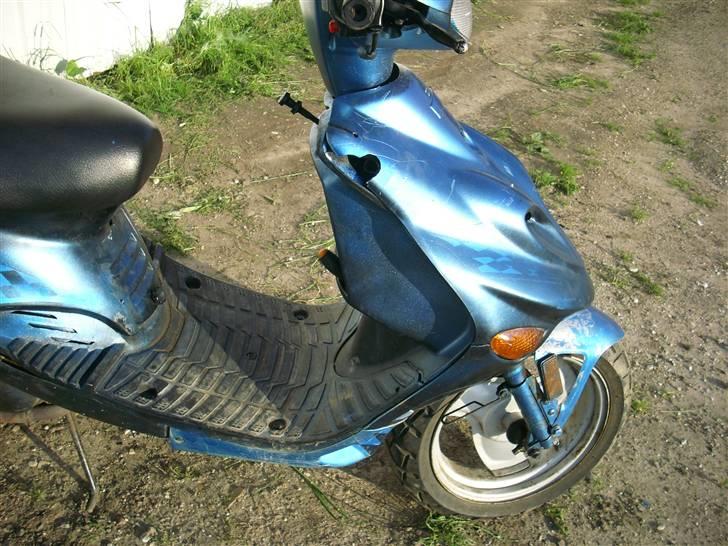 Adly Tmp baboon billede 2