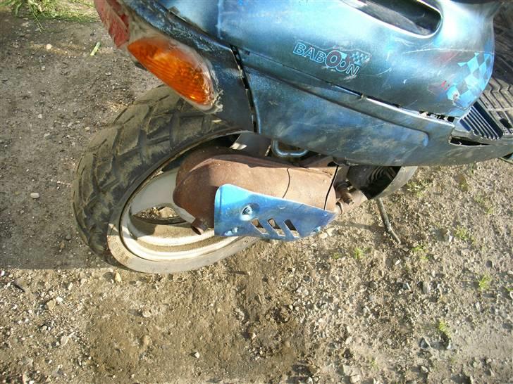 Adly Tmp baboon billede 3