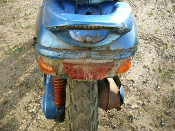 Adly Tmp baboon billede 4