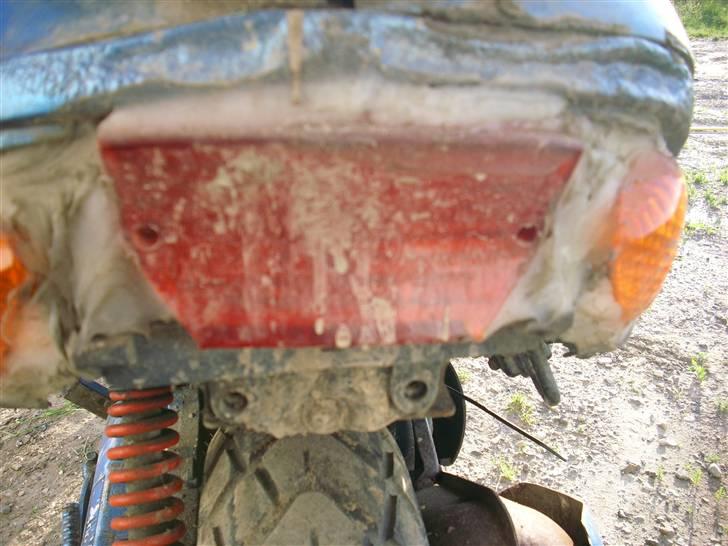 Adly Tmp baboon billede 5