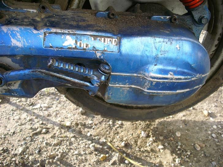 Adly Tmp baboon billede 6