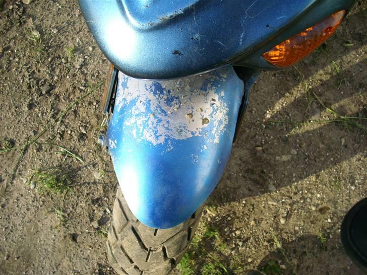 Adly Tmp baboon billede 7