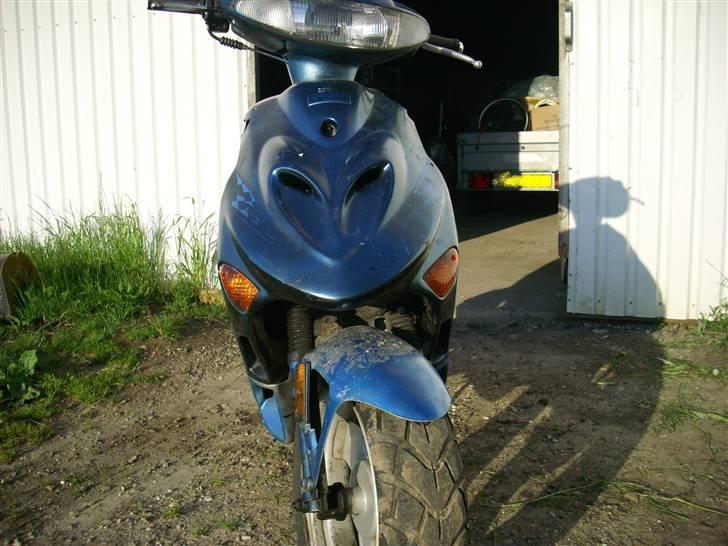 Adly Tmp baboon billede 8