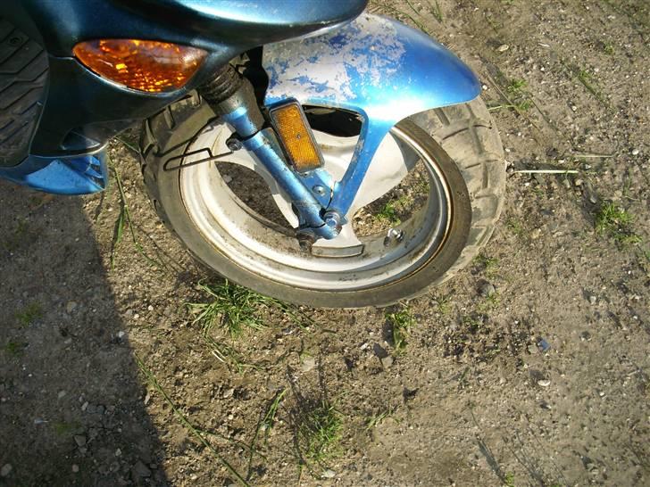 Adly Tmp baboon billede 9