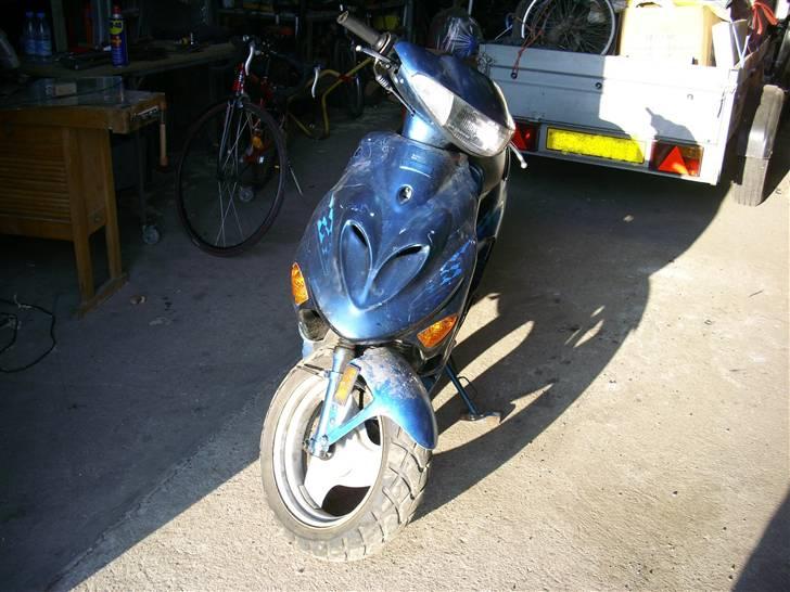 Adly Tmp baboon billede 10