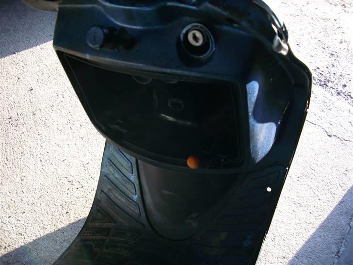 Adly Tmp baboon billede 11