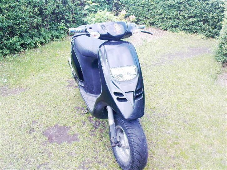 Piaggio typhoon solgt billede 2