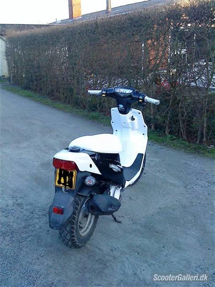 PGO hot 50 SOLGT billede 6